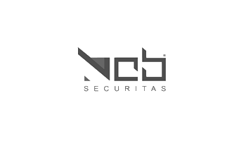 Realizzazione siti web - Alexmedia - VCB Securitas